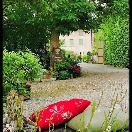 Le Di Virgilio *