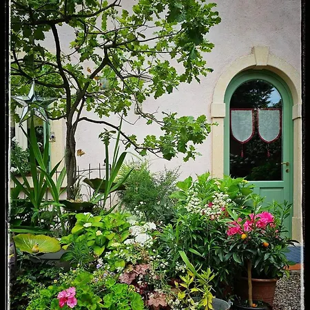 Le Di Virgilio *